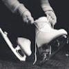skatetasia